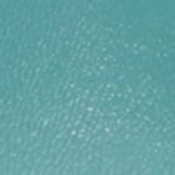 NWT Coach Outlet Jillian Slingback - Picture 5 of 6